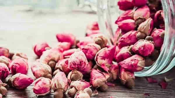 تصویر 2 از قیمت خرید گل محمدی عمده با فروش ویژه